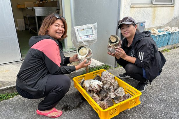 伊平屋漁協で初の女性組合員　貝20キロを初出荷　姉妹で活躍「おいしい海産物を届けたい」　沖縄