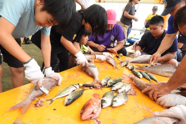 「大きな魚もさばけたよ」地元の海の恵みに児童ら歓声　ユッカヌヒーにウミンチュ指導　国頭・沖縄