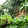 久米島、6月観測で史上1位の大雨　24時間の最大降水量293ミリ　19日も土砂災害に警戒　沖縄