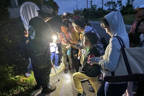 ホタルの光　不思議　沖縄市で夜の生き物観察会