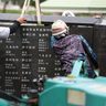 「平和の礎」追加刻銘板を設置　慰霊の日に向け新たに181人の名を刻む　糸満・沖縄　