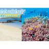 〈沖縄いきものマスター〉白い砂浜の正体は？　多くの恩恵もたらすサンゴ礁