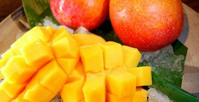 沖縄県内のマンゴー生産量は？　＜ニュースはじめの一歩＞