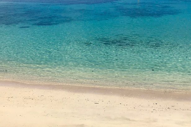石垣島のビーチ、シュノーケルの東京の男性が死亡　浜辺から約20メートルのところで発見　沖縄