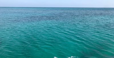 水納島の沖でダイビング中に男性が意識不明　搬送後に死亡　本部・沖縄