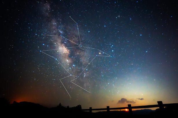 「やんばるくいな座」夜空に羽広げ、天の川で水浴び　沖縄・国頭村が制定、星空観光の推進へ