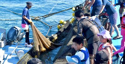 【動画】「すごい！」「大きい！」　定置網の中にいたものは　迫力ウミンチュの漁の見学会　読谷　沖縄