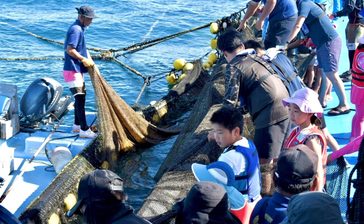 【動画】「すごい！」「大きい！」　定置網の中にいたものは　迫力ウミンチュの漁の見学会　読谷　沖縄
