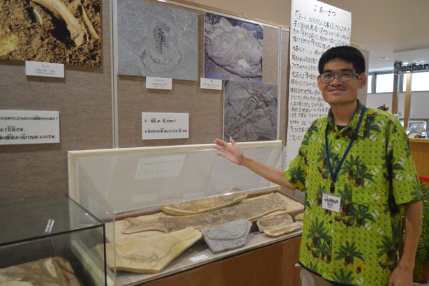 「歯を持つトリ」や恐竜の卵　国頭・大石林山で化石展示　沖縄