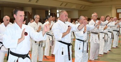世界武道祭　指導者の技に熱視線　空手、40カ国700人学ぶ　沖縄