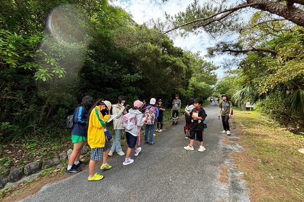 宮森小児童ら伊平屋を満喫　離島体験事業　山を散策、ムーチー作り