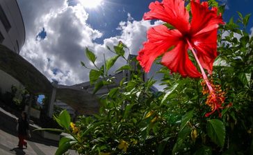 那覇で最高気温35度　7年ぶりの猛暑日　沖縄