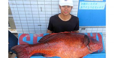 安田沖で19.3キロ、クルバニー