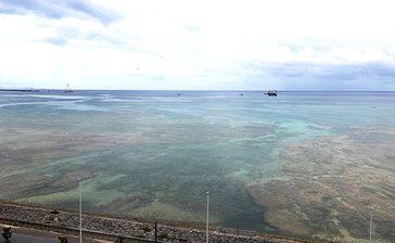 環境アセスに意見書300件　浦添への軍港移設　県、生態系や景観を懸念　沖縄