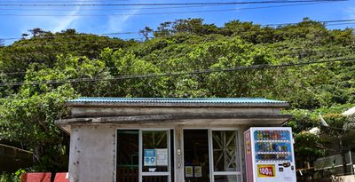 客は数人、でもヤンバルクイナはいっぱい　集落の暮らし支える、国立公園内にある伊部売店　【どローカルリポート】沖縄