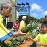 東村の特産品が集合　村民の森つつじ園で祭り