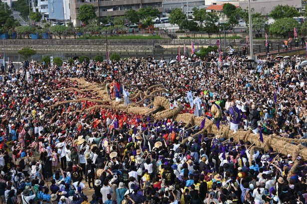 450年の歴史ある「与那原大綱曳」　7000人の熱気、西が雪辱果たす　沖縄