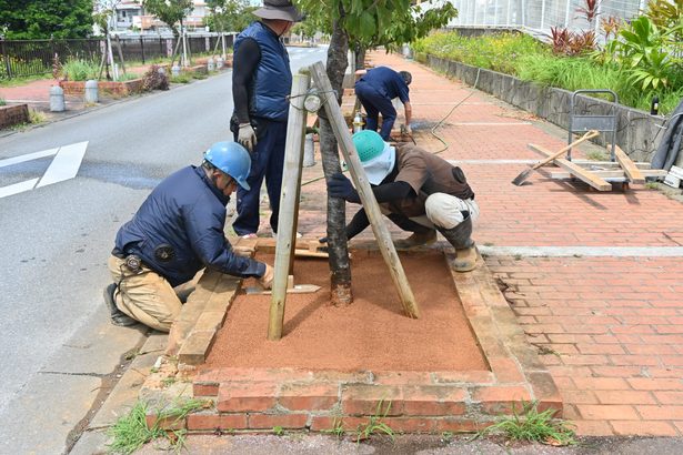 生コン廃棄物で雑草抑制　名護で実証実験　沖坤「ＮＯＮＯＣＡ」　東江中前の花壇