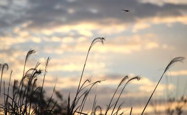 10～12月は気温高め、降水量はほぼ平年並み　沖縄気象台　沖縄地方の3カ月予報