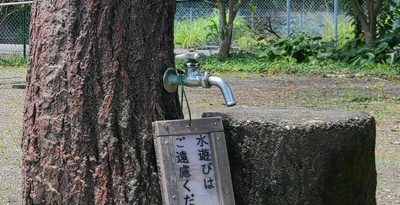 公園に“水遊び禁止”の札が設置されていてショックだった　ルールはどう決めているの？（静岡新聞提供～JODパートナー社から～）