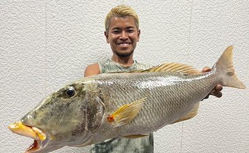 古宇利島で76センチムネアカ