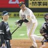 日ハム逆転勝ち　山川、両リーグ最速30号　＜プロ野球＞ソフトバンク―日本ハム