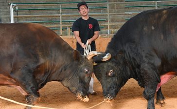 三度の飯より牛が好き　“ウシ活”高校生の夏　【どローカルリポート】沖縄