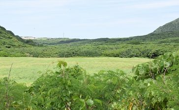 与那国の樽舞湿原「調査・保全を」　昆虫学者ら有志、港湾計画巡り県議会に陳情　沖縄