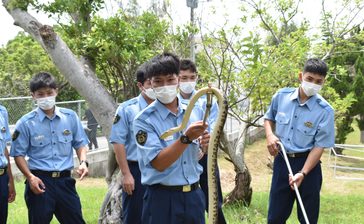 警察学校で「ハブ捕獲」訓練　講師を招き代用のアカマタで実践、ハブの生体観察も　うるま・沖縄