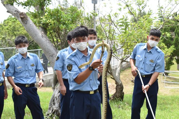 警察学校で「ハブ捕獲」訓練　講師を招き代用のアカマタで実践、ハブの生体観察も　うるま・沖縄