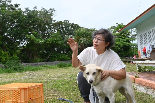 【比較表】「市民の安全、生活一番に」　騒音やPFAS、日常に影　沖縄＜争点・宜野湾市長選9・8＞上