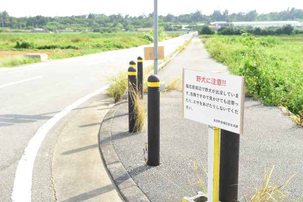 「野犬に注意」水田で水浴びする姿　ヤギの殺傷被害も…金武の並里周辺に出没　町が注意喚起　沖縄