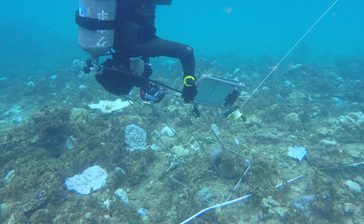 沖縄県、大浦湾側で潜水調査　サンゴ移植先　今月中に結果