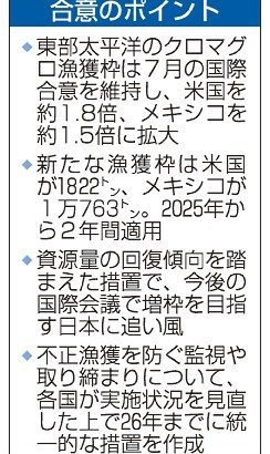 マグロ増枠　合意維持　米１・８倍、日本に追い風