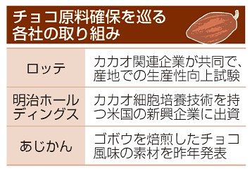 チョコ原料確保に奔走　国内企業　カカオショックで高騰