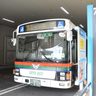 東陽・沖縄バス　減便　運転手不足、深刻化