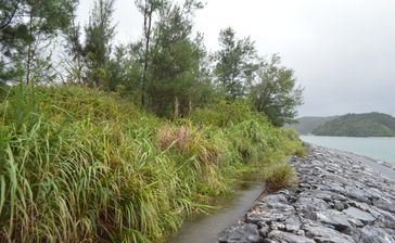 【深掘り】ビーチ利用の9割を宿泊客想定も、ホテル着工めど立たず　大宜味村「結の浜」海浜公園整備　沖縄