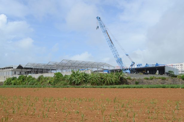 「農地」なのに重機置き場に…8年間の違反転用、県が勧告　宮古島市議らに原状回復求める　沖縄