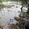 「レプトスピラ症」大雨の後に注意を　増水後の滝や湖で細菌が増殖　「台風後の川遊び控えて」琉大・佐藤准教授