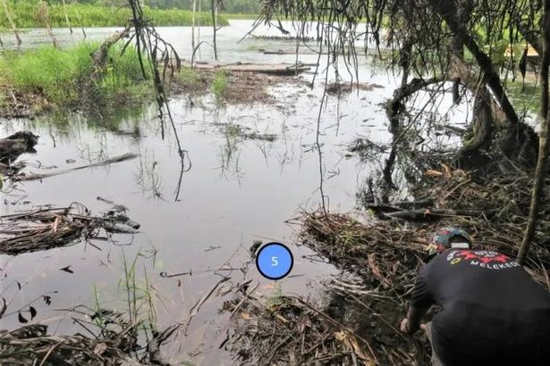 「レプトスピラ症」大雨の後に注意を　増水後の滝や湖で細菌が増殖　「台風後の川遊び控えて」琉大・佐藤准教授