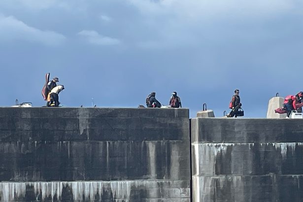 釣りの振興と安全確保、どう両立？　法改正で沖堤防渡れず、県外では条件付き利用の事例も＜沖縄DEEP探る＞