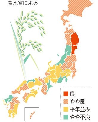 ２４年産米、作況「やや良」　予想収穫量、６年ぶり増