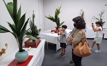 秋を彩り華やかに　いけばな展、きょう13日まで　那覇の琉球新報社2階ギャラリー　沖縄