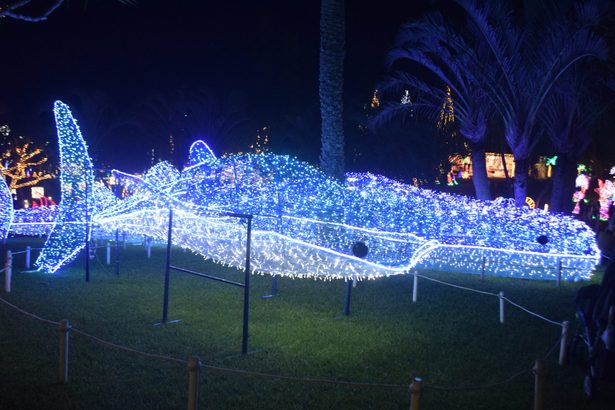 400万の光、沖縄の夜を彩る！「南国イルミネーション」東南植物楽園で始まる