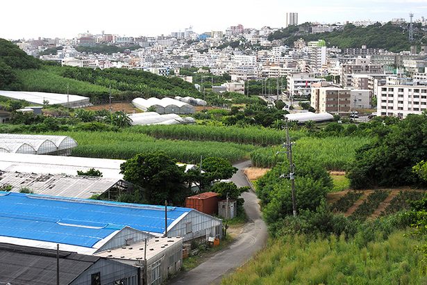 「日本勝利」に疑念生まれる　大城勇一さん（91）・宜野湾市　戦世の記憶＜読者と刻む沖縄戦＞6