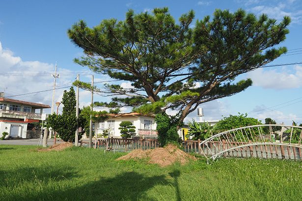 日本兵に壕を出される　大城勇一さん（91）・宜野湾市　戦世の記憶＜読者と刻む沖縄戦＞13