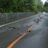 県道14号は全面通行止め　国道331号は片側通行　本島北部の大雨で道路も損壊　沖縄