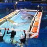 「美ら海」世界初に挑戦　ジンベエザメ繁殖目指す
