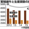 肉牛２％増７万頭　沖縄県内１６年、雌牛も２年連続増