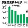 沖縄県内農業産出１０２５億円　昨年、２１年ぶり大台超え　子牛伸びキビ豊作